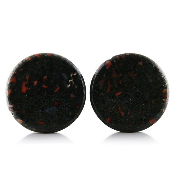 Fossilized Dinosaur Bone Plugs 1 Inch (25mm) Version 5 Online