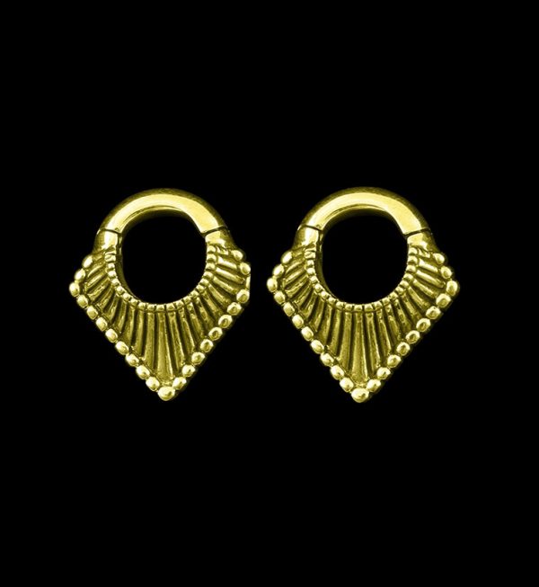 Flection Hinged Ear Weights Supply