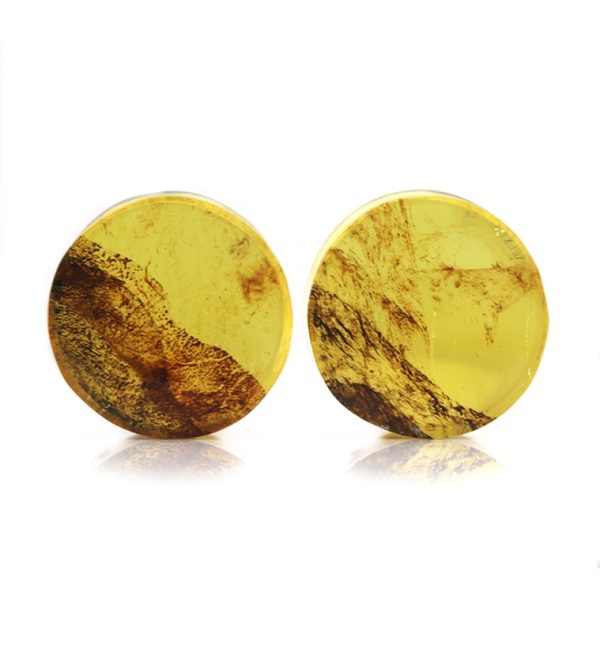 Chiapas Amber Plugs 5 8  (16mm) Version 6 Discount