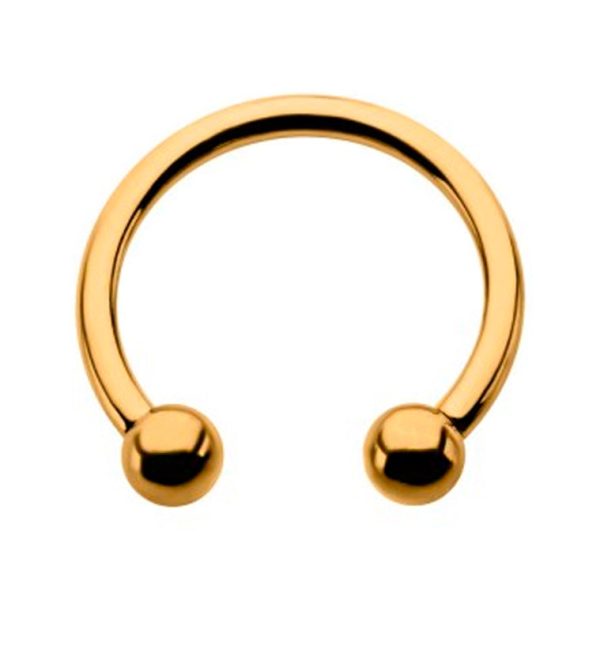 24kt Gold PVD Titanium Circular Barbell Online now