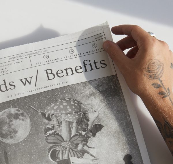 Trends w  Benefits Newspaper Online Hot Sale - Image 2