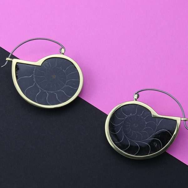 Ammonite Titanium Earrings - Hangers Hot on Sale - Image 2