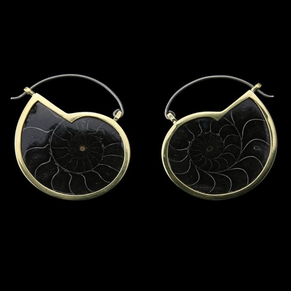 Ammonite Titanium Earrings - Hangers Hot on Sale
