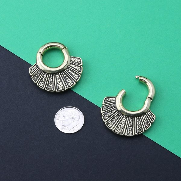 Stroke Hinged Ear Weights For Cheap - Image 3